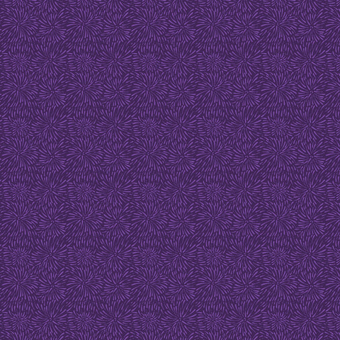 Darkest Purple Firework Blooms