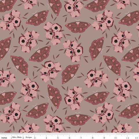Sonnet Dusk - Moths Taupe