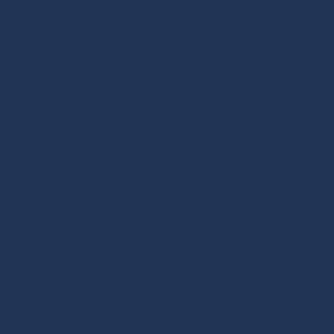 Confetti Cottons Solid - Navy