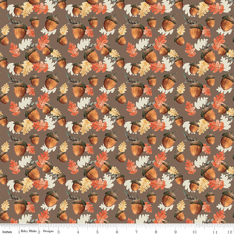 Shades Of Autumn - Acorns Brown