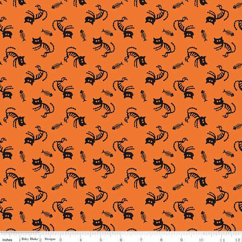Beggar's Night - Cats Orange Halloween