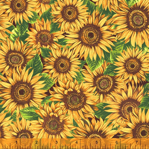 Golden Sunflowers