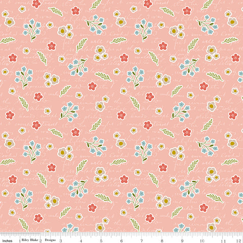 Primrose Hill - Field Notes Blush