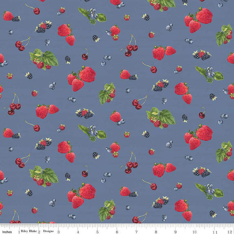 Monthly Placemats - June Berry Toss Denim - Remnant