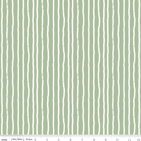 Roar -Stripes Sage