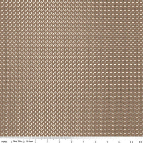 Calico - Daisy Chestnut