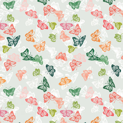 Harbour Butterflies