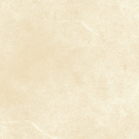 Ecru Suede Tonal - 108" Wide Back