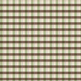 Evergreen Escape Quilt Kit