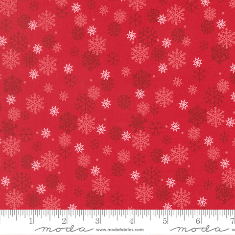 Holiday Cheer - Snow Flurry Poinsettia