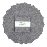 Floret Grey - 5" Squares