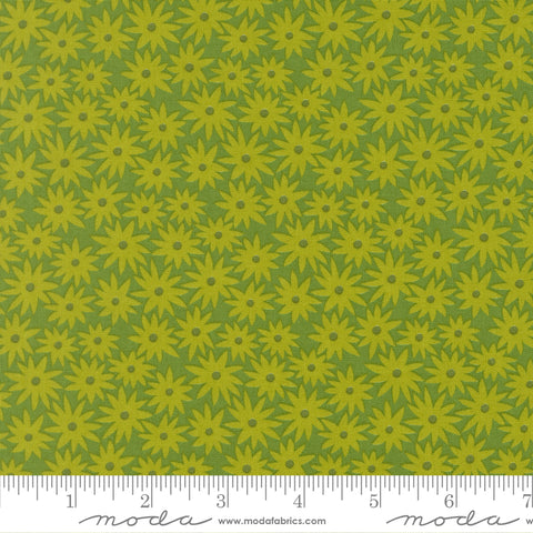 Scenery - Sedum Limeade