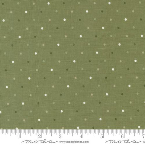 Magic Dot - Fern