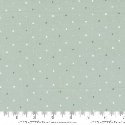 Magic Dot - Robins Egg - 108" Wide Back