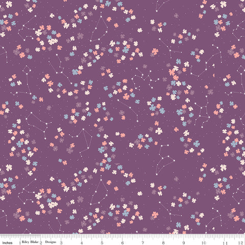 Moonchild - Constellations Grape