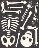 Bad to the Bone Panel Quilt Kit