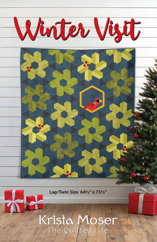 Winter Visit Sew Days