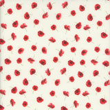 Poppy Passion - Tossed Poppies Cream