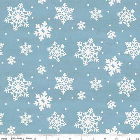 Monthly Placemats - January Snowflakes Aqua