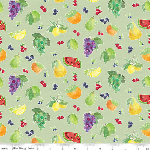 Monthly Placemats - August Fruit Toss Green
